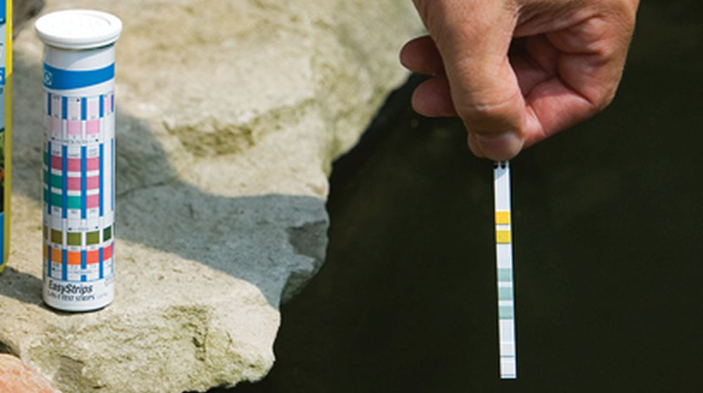 watertest VIJVER ONDERHOUDEN