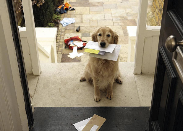 Le courrier publicitaire a-t-il encore un avenir ? 