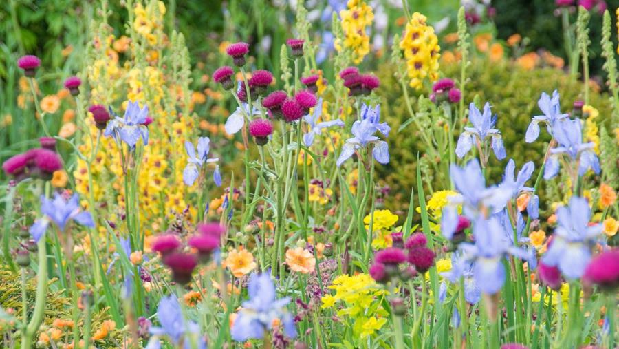 Les tendances jardin en 2026
