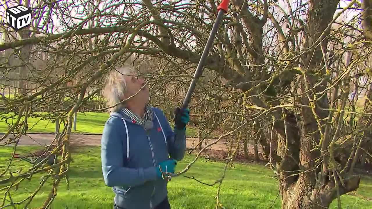 SNOEIEN IN HET NAJAAR